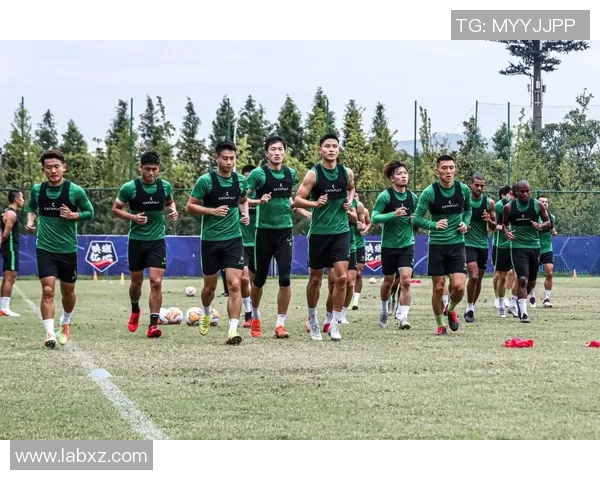 探索北京排球队区域防守体系的战术创新与实践分析