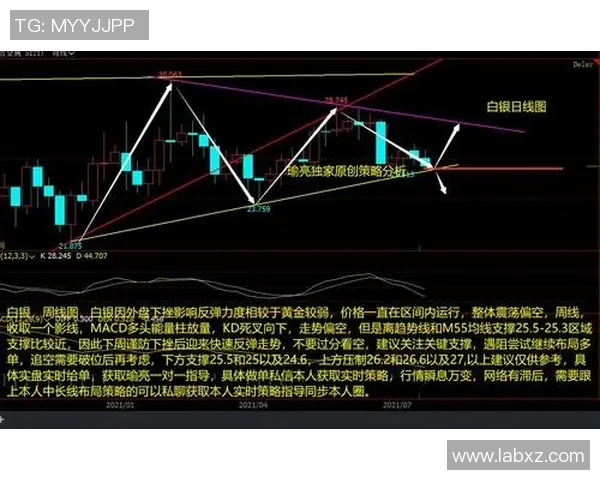 上海篮球队中路突破战术分析及其得失评估 上海篮球队中路突破战术分析及其得失评估