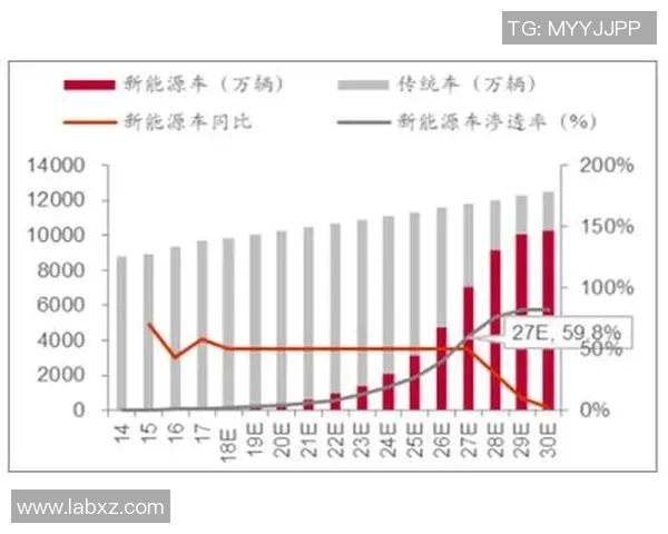 深入探讨重庆羽毛球队实力表现的数据分析与未来发展趋势 深入探讨重庆羽毛球队实力表现的数据分析与未来发展趋势