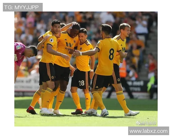 英超排球焦点分析西安排球队实力与发展潜力的深入探讨