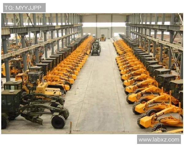 重庆篮球队转型之路的纪实探索与发展历程分析