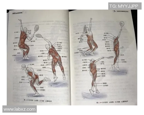 科学网球状态训练方法探究与实践提升运动员竞技水平的有效策略
