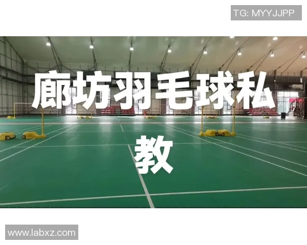体育实时数据羽毛球新手必看入门攻略全面提升实力的实用指南 体育实时数据羽毛球新手必看入门攻略全面提升实力的实用指南