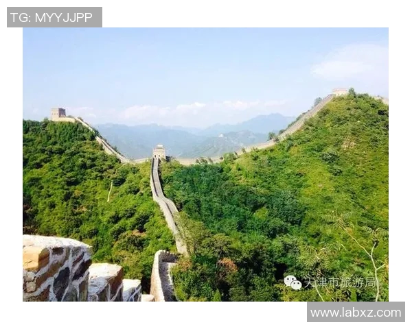 吴伟独家分享极限运动心得与技巧助你突破自我极限的精彩旅程实时数据 吴伟独家分享极限运动心得与技巧助你突破自我极限的精彩旅程实时数据