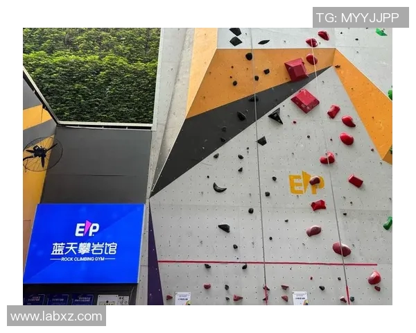 实时新闻攀岩精神深入了解上海攀岩队的团队协作与挑战之旅